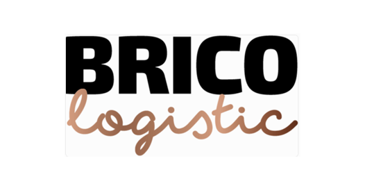 Logo Brico Logistic
